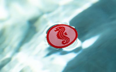 Das Seepferdchen Abzeichen schwimmt auf der Wasseroberfläche