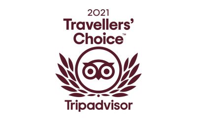 Travellers' Choice Award Logo