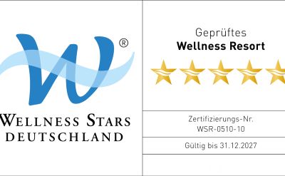 Wellness Stars Logo
