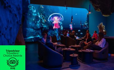 Das Fine Dining Restaurant Eatrenalin im Europa-Park Erlebnis-Resort wurde mit dem Travellers' Choice Award ausgezeichnet.