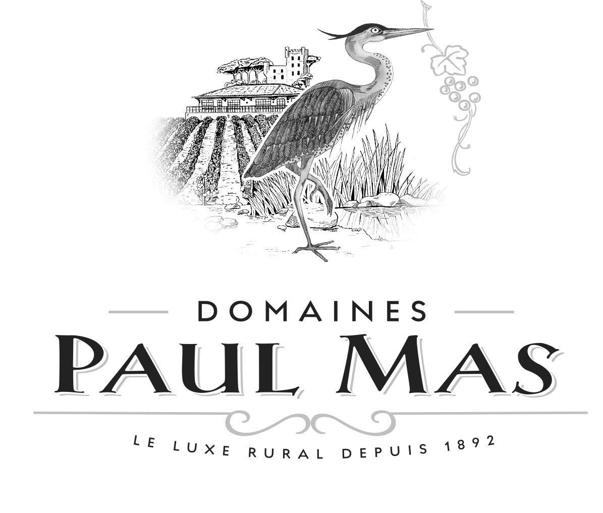 Paul Mas