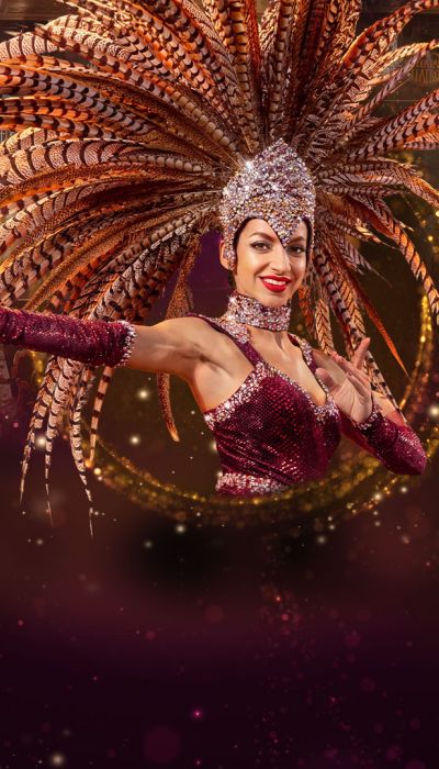 Europa-Park Dinner-Show