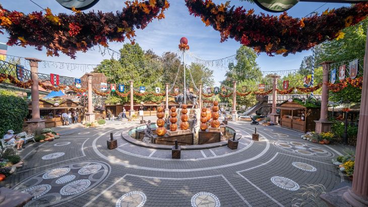 Harvest Market