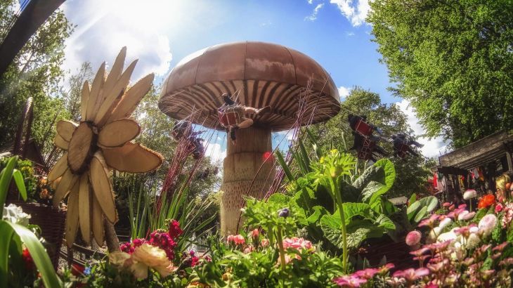 Wiener Wellenflieger – Glückspilz