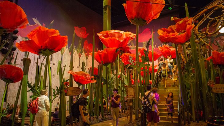 Eingangsbereich Poppy Towers