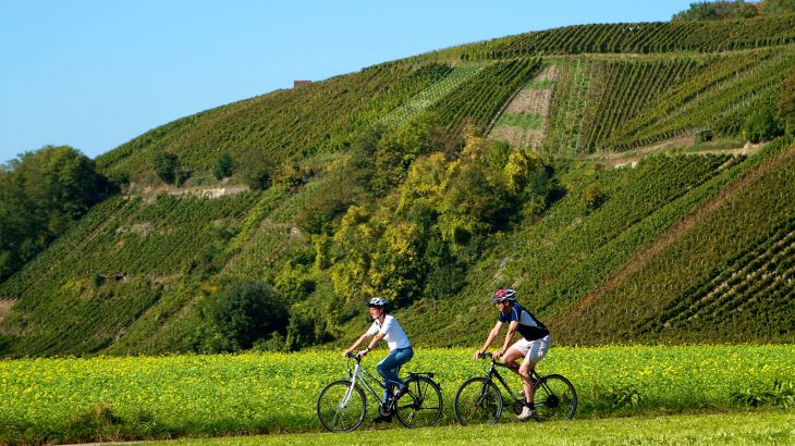 ausflug region fahrradfahren europa-park