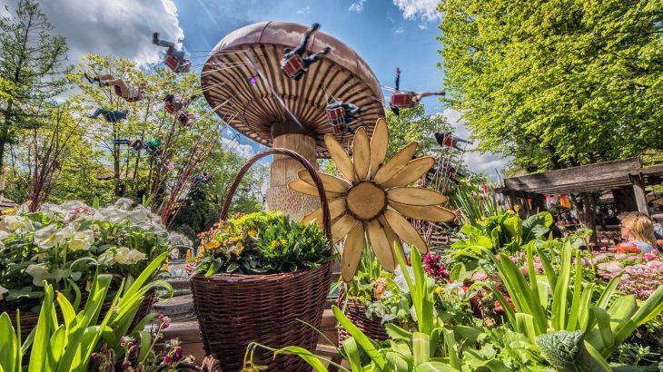 Man sieht Blumen, im Hintergrund ist ein Kettenkarrussel in Form eines großen Pilzes