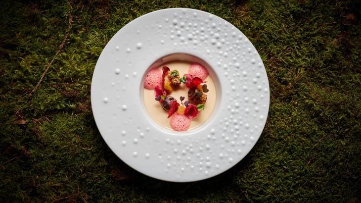 "Ammolite" Chawanmushi