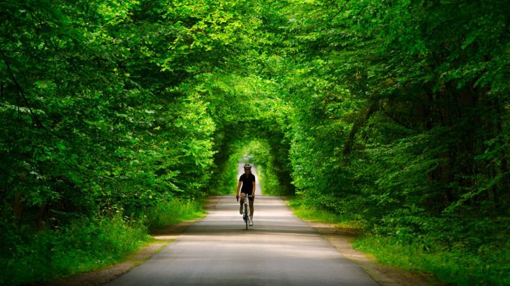 Radfahrer im Wald