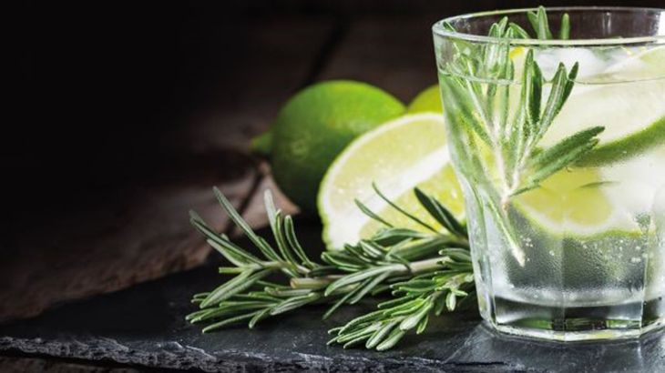 Confertainment - Gin Tonic Burger