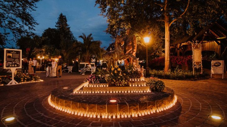 Sommernachtsparty im Europa-Park