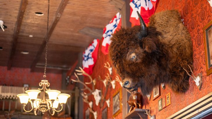 Ein Bullenkopf an der Wand der Wild Horse Bar.