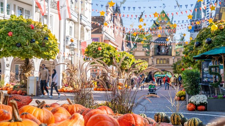 Die für die Halloweensaison geschmückte Deutsche Allee im Europa-Park.