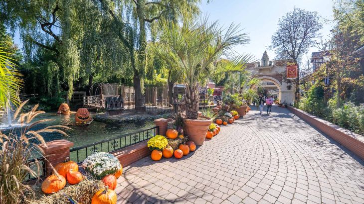 Der Englische Themenbereich des Europa-Park ist mit zahlreichen Kürbissen für die Halloweensaison geschmückt.