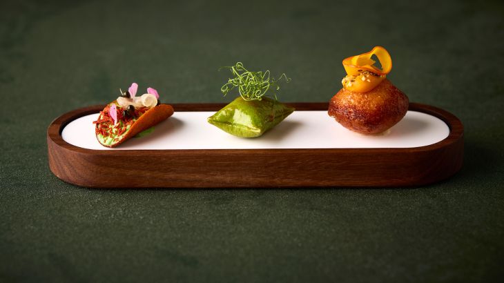 Ammolite – House of Light