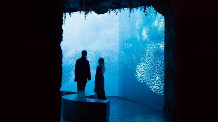 Zwei Personen stehen vor dem digitalen Aquarium im Monegassischen Themenbereich des Europa-Park. 