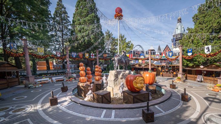 Harvest Market
