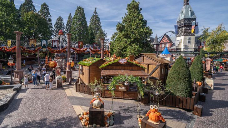 Harvest Market