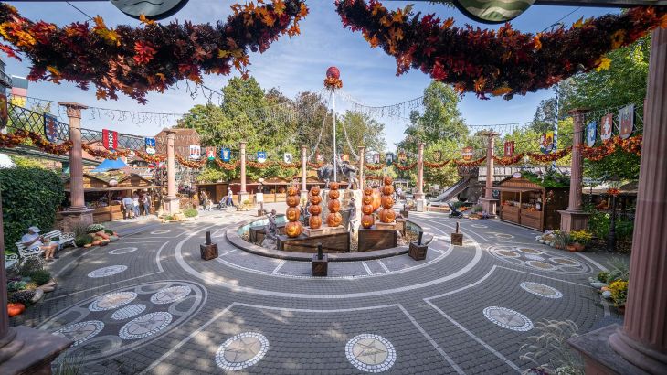 Harvest Market