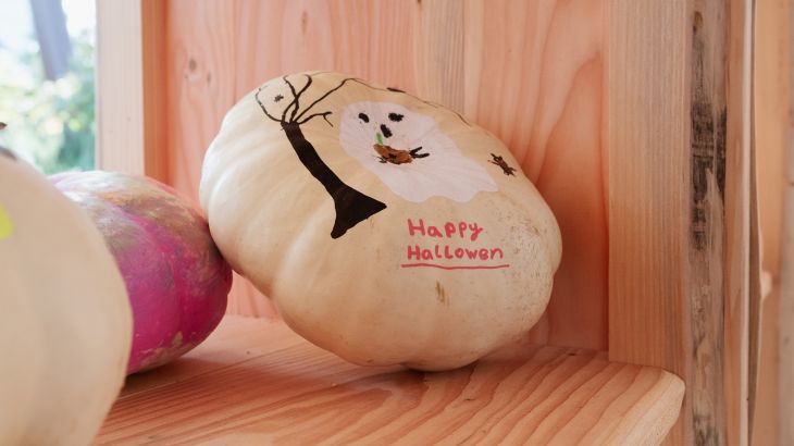 Pumpkin Boulevard