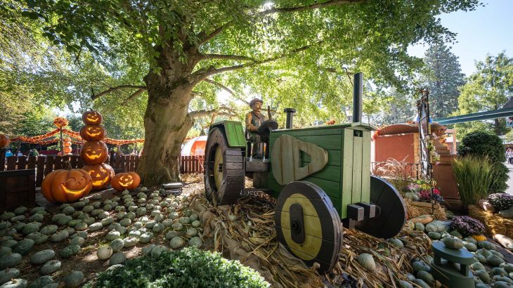 Pumpkin Village