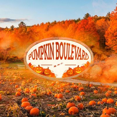 Pumpkin Boulevard