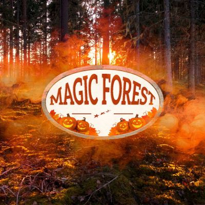 Magic Forest