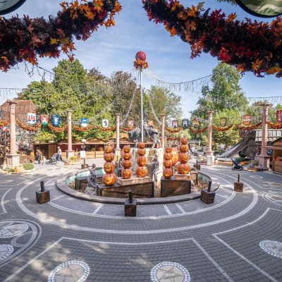 Harvest Market