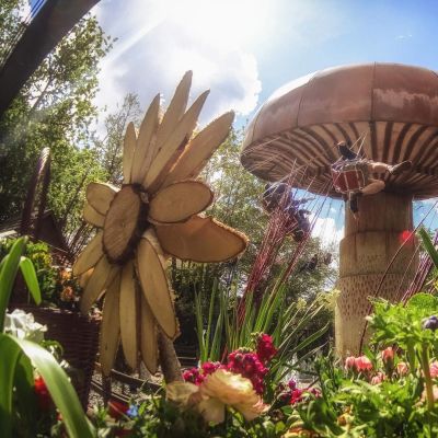 Wiener Wellenflieger – Glückspilz