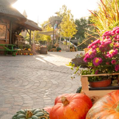 Halloween Deko mit Kürbissen in Irland