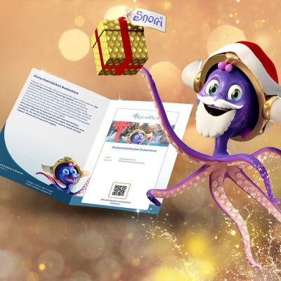 Snorri präsentiert das Eintrittsticket