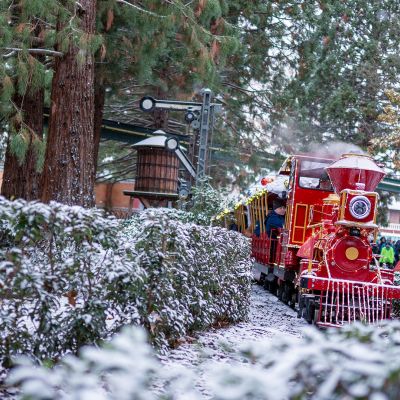 Panoramabahn im Bahnhof Deutschland