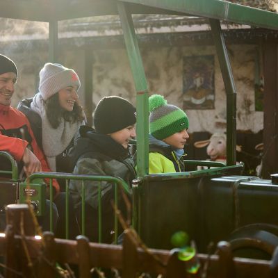 Old Mac Donald's Tractor Fun