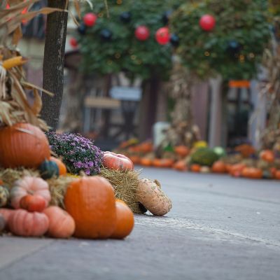 Kürbisse im Europa-Park