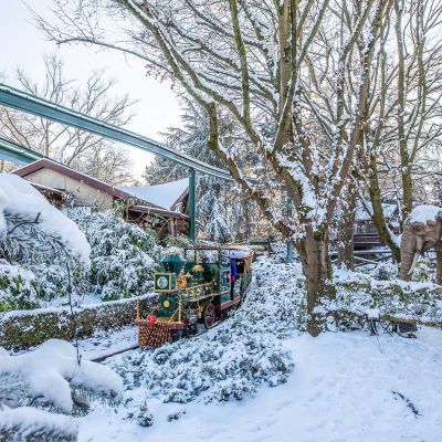 Winter-Saison im Europa-Park