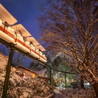 Ein mit Lichterketten geschmückter Zug der Monorail Bahn.
