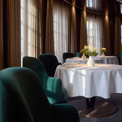 Ammolite – House of Light