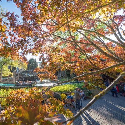 Le quartier autrichien d’Europa-Park en automne. Les feuilles des arbres sont multicolores.