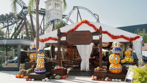 Pumpkin Boulevard