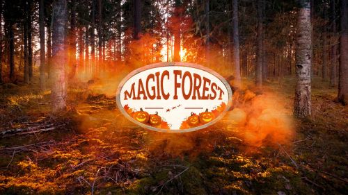 Magic Forest