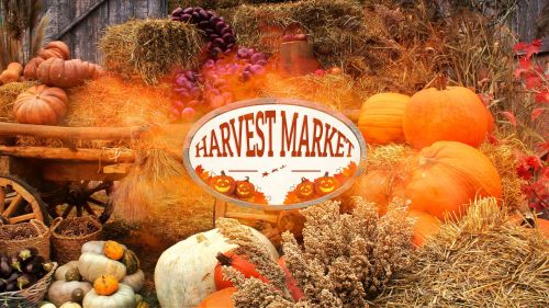 Harvest Market