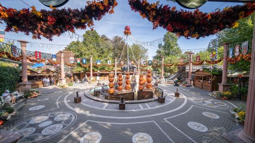 Harvest Market