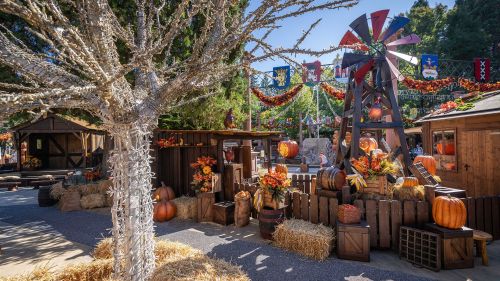 Pumpkin Village