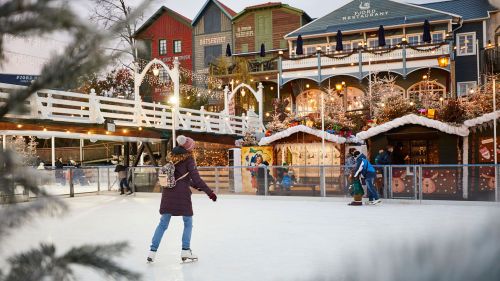 Eislauffläche