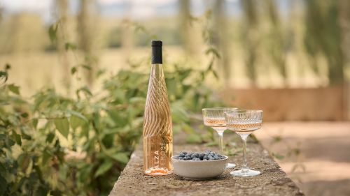 ALZA Le Vin Getränkestand