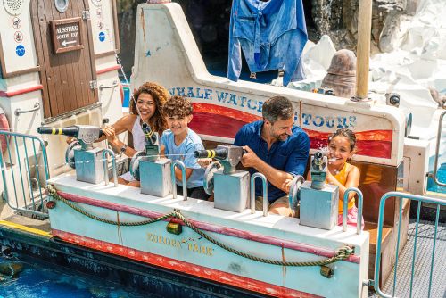 Whale Adventures-Northern Lights