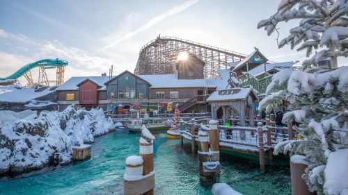 Whale Adventures im Winter