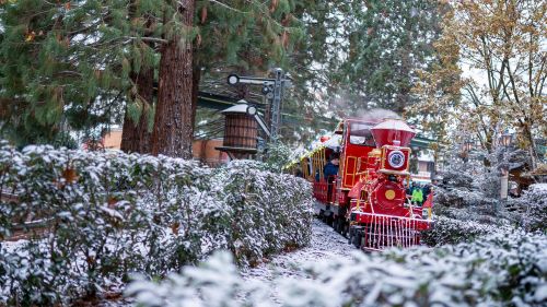 Panoramabahn im Bahnhof Deutschland