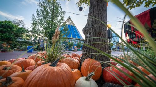Herbstlich dekorierter Themenbereich Luxemburg im Europa-Park. 