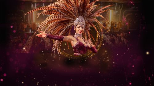Europa-Park Dinner-Show